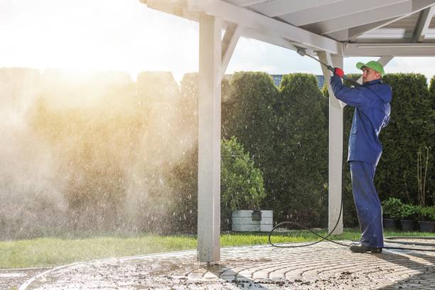 Best Building Exterior Washing  in Poplarville, MS